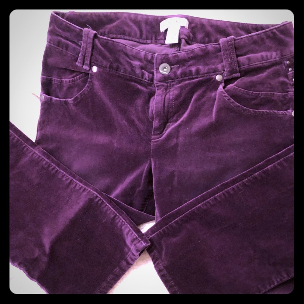 Calvin Klein pant